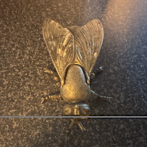 Brass fly insect - fly,