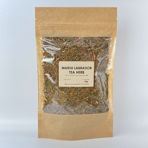 Marsh labrador tea herb - herb, |