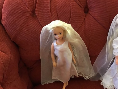 Vintage sindy wedding - vintage, veil