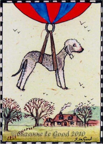 Aceo bedlington terrier dog - aceo,