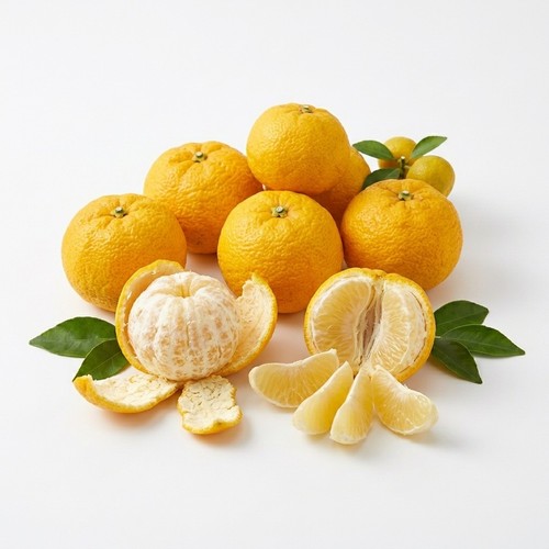 Japanese yuzu lemon tree - yuzu,