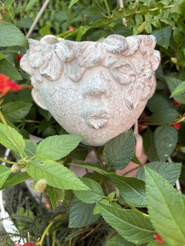 Lady face cement planter - cement,