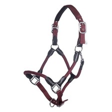 Gorgeous  Carlotta Headcollar & Lead Set by HKM - Very Popular