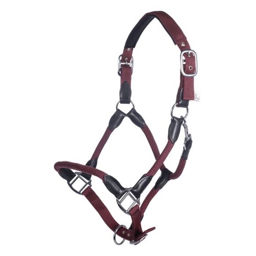 Gorgeous carlotta headcollar - gorgeous,