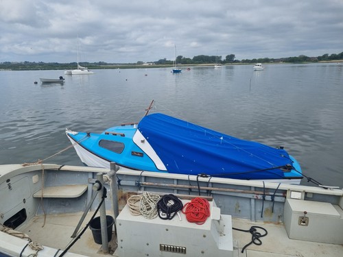 Starley marine sea nymph - ,