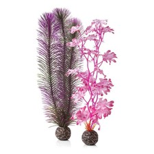 BiOrb Pink Kelp Aquarium Fish