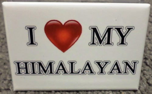 Love himalayan x3 - love,