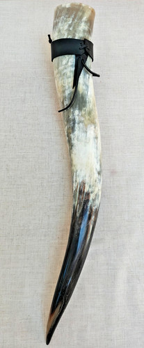 Large horn viking - horn,