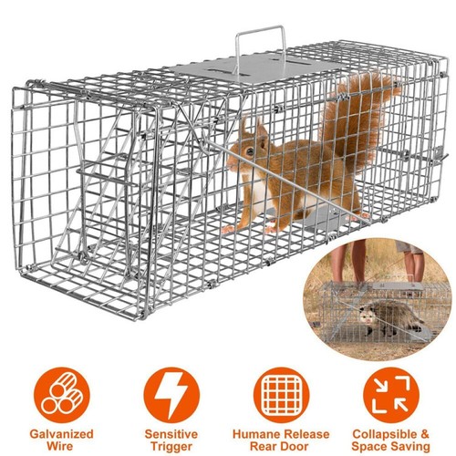 Squirrel trap heavy duty metal - trap,
