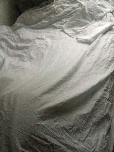 Next 100 white - next, 100%