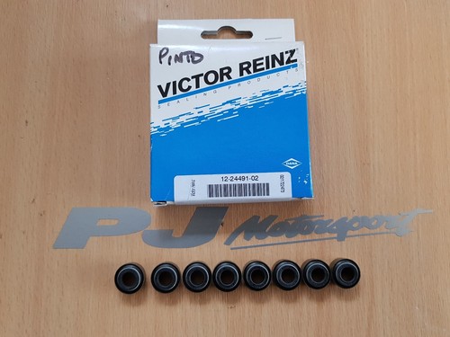 Victor reinz ford pinto - victor,