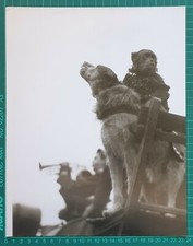 TIBOR HONTY / TRUMPET (1965 /