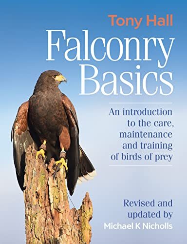 Falconry basics - falconry,