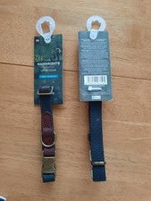 Two Small Wainwright's Dog