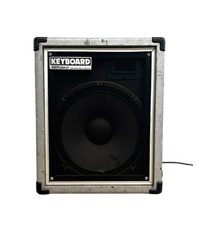 Roland cube silver guitar - roland,