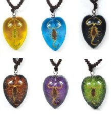 Real Insect Golden Scorpion