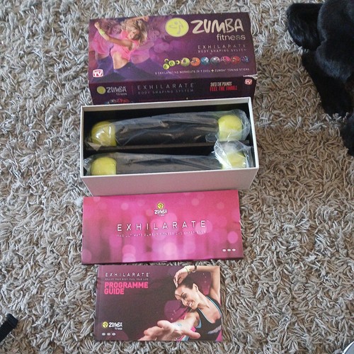 Zumba fitness exhilarate body - fitness,