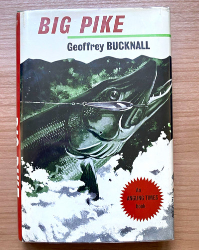 Big pike geoffrey bucknall - big,