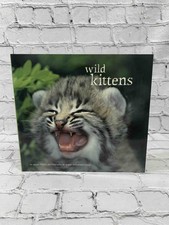 Wild Kittens by Peggy Bauer