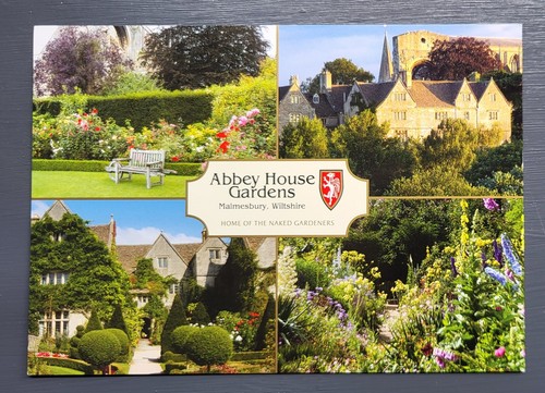 Vintage postcard unused abbey - postcard,