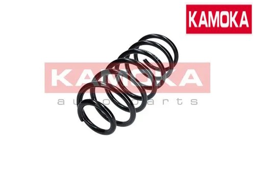 Front coil spring - front,
