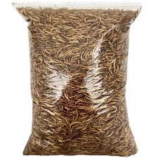 Dried mealworms 50g 250g 500g - dried,