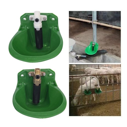 Automatic sheep water - automatic, bowl