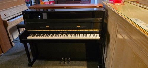 Halle and voight - voight, piano