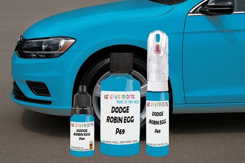 Touch paint for dodge robin - paint,