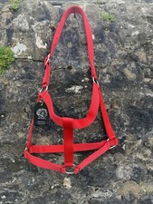 Full / Horse - Red Head Collar