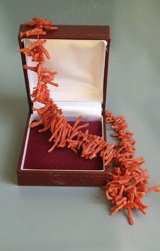 Vintage natural red branch - vintage,