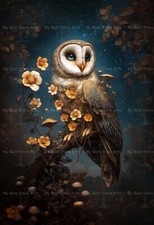 BARN OWL ART PRINT, Bird