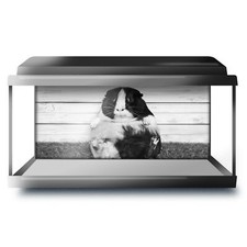 Fish tank background 90x45cm - tank,