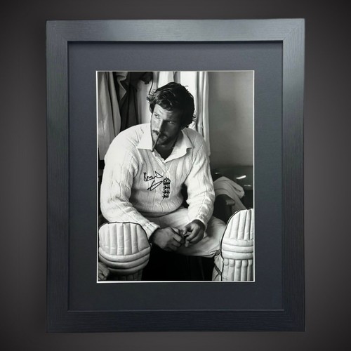 Cricket legend ian botham - ian,