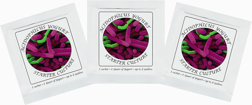 Acidophilus yogurt starter - acidophilus,
