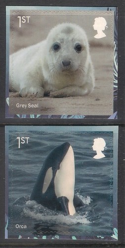 2021 sg4553 wild coasts - sg4553-54,
