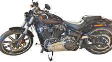 Side mount license - side, plate