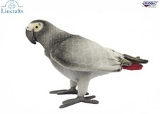African grey parrot 7986 - grey,