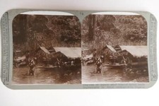 Dug-Outs on Lagoon  Nigeria