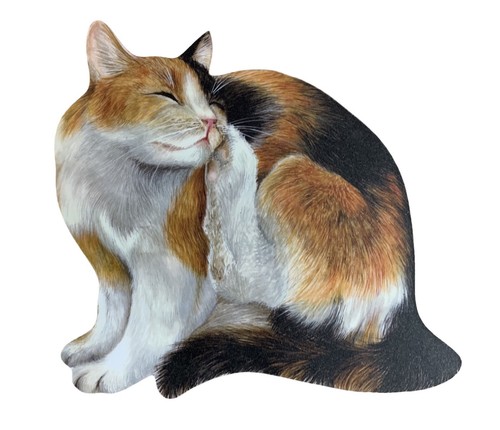 Tortoiseshell cat plaque - plaque,