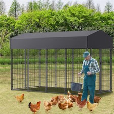 Xxl large chicken - large, run