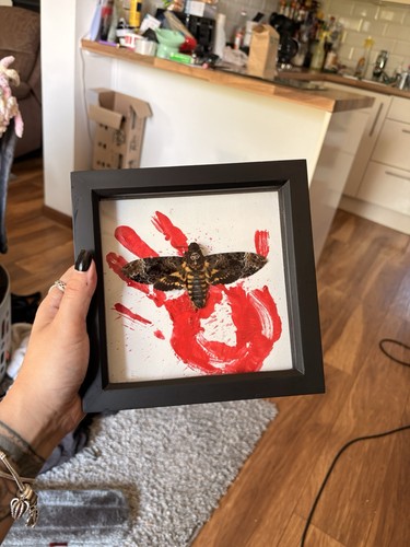 Death head hawk moth - death, horror