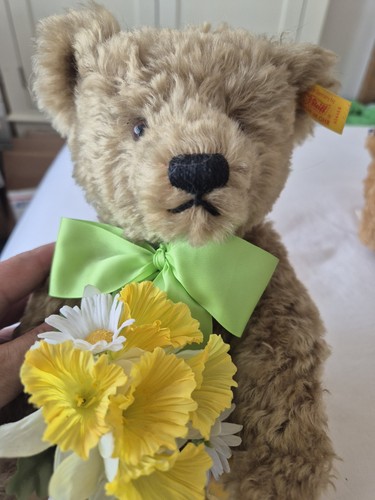 Steiff dylan spring - steiff, bear