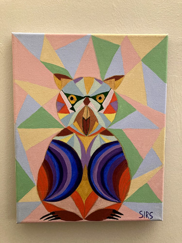 Owl acrylic colourful vibrant