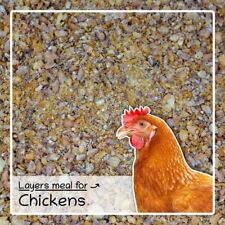 Chicken Feed for Laying Hens 4kg – Complete Layers Meal – SeedzBox Poultry Food