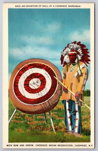 Postcard native american - native,