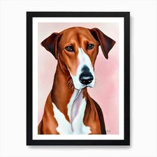 Ibizan Hound Watercolour Dog