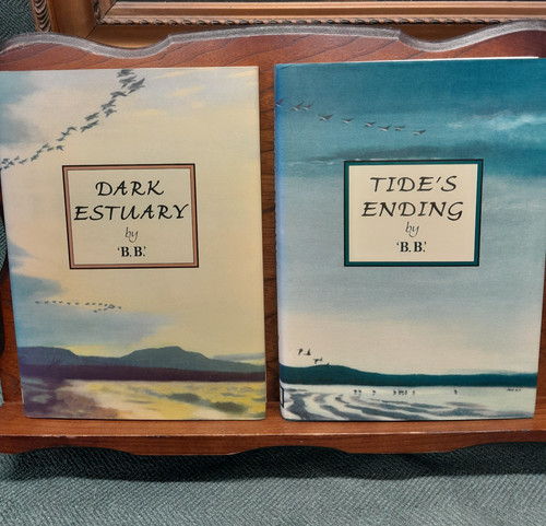 Dark estuary tide - dark, tide's