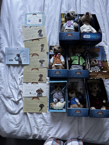 Compare the meerkat plush - meerkat,