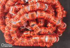 2026 Multicolor 8mm Bird Foot